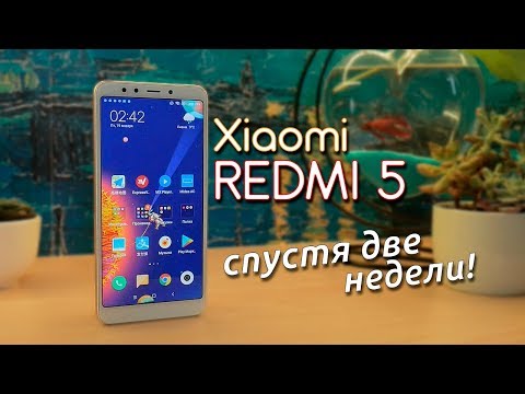Видео: Обзор Xiaomi Redmi 5 - 2 недели с идеальным бюджетником!