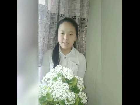 Видео: Классный час 6Б "Мама"