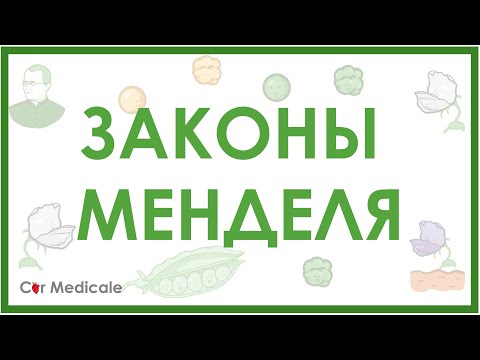 Видео: Законы Менделя - менделевская или классическая генетика