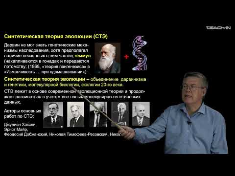 Видео: Дубынин В.А. - 100 часов школьной биологии - 2.26.Микроэволюция. Синтетическая теория эволюции (СТЭ)