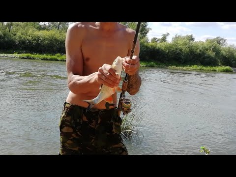 Видео: Рыбачу на личинки майских жуков. Первый раз.