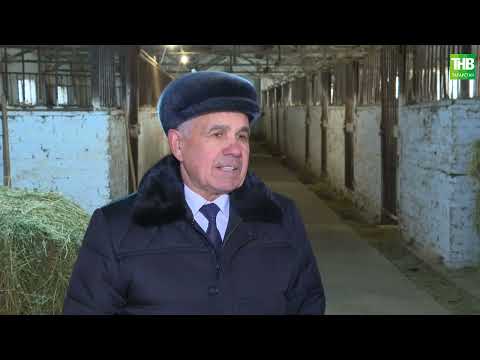 Видео: Туган җир 15/12/23