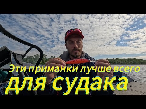 Видео: Правильный ТИП приманок на СУДАКА!