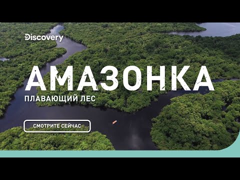 Видео: Амазонка: плавающий лес | Неизведанные острова | Discovery Channel