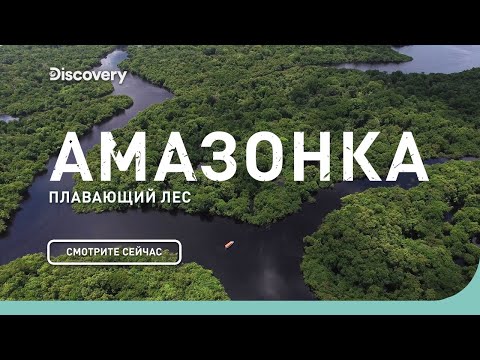 Видео: Амазонка: плавающий лес | Неизведанные острова | Discovery Channel