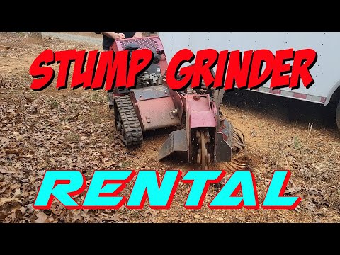 Видео: Аренда измельчителя пней. Вы сможете это сделать!!!