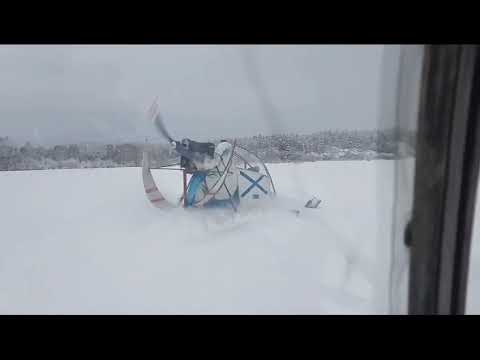 Видео: 5 января 2024 г.