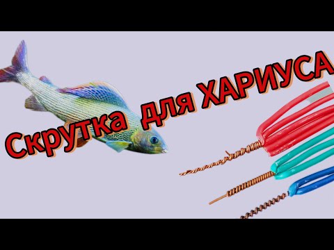 Видео: ❗️❗️❗️КРУТИ ЛОВИ ❗️❗️❗️ все просто 🔥#рыбалка #2024 #мушкинахариуса