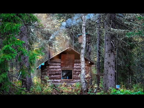 Видео: ЖИЗНЬ В ТАЁЖНОЙ ИЗБЕ. ОХОТА. НЕЛЬЗЯ СТРЕЛЯТЬ! СДЕЛАЛ МАНОК И ДОБЫЛ МЯСО.