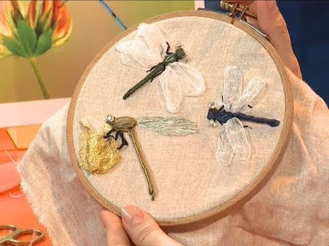 Видео: Cтрекоза