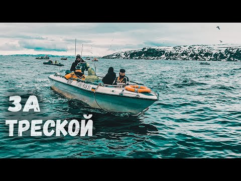 Видео: ДАЛЬШЕ - НЕ ЗНАЧИТ ЛУЧШЕ! ХИТРАЯ ТРЕСКА. УДАЧНЫЕ ПОИСКИ. КОНЕЦ МАЯ 2021