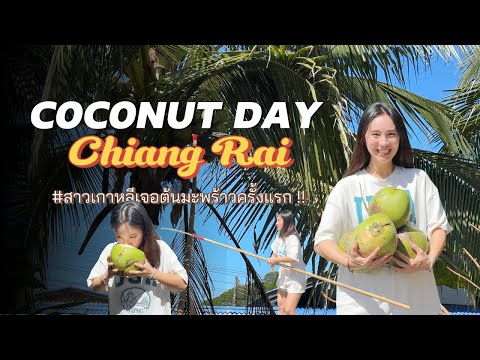 Видео: Кореянка возвращается домой собирать кокосы. Давайте собирать кокосы! Давайте собирать кокосы! Да...