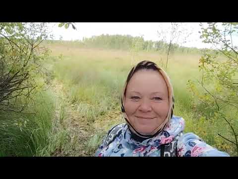 Видео: "Ох, осень...."