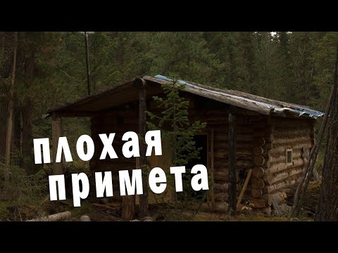 Видео: 💥/Говорят, что такого не бывает/  А вона как оно вышло/