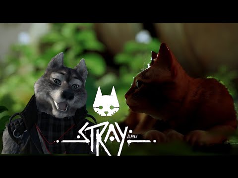 Видео: STRAY №1 ПРОГУЛКА НАЧАЛАСЬ