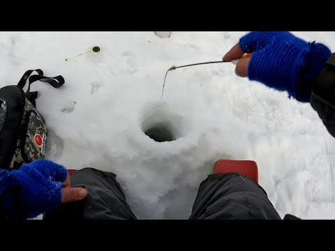 Видео: Поиски КРУПНОГО окуня на мелях. ОКУНИ ОТРЫВАЮТ мормышки. Ловля окуня на мормышку со льда. Глухозимье