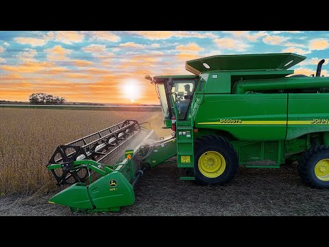 Видео: Рекордный урожай сои (от начала до конца)