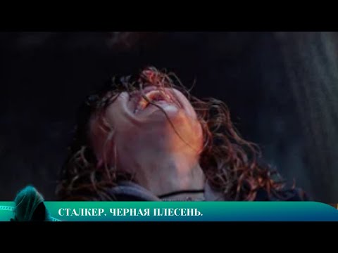 Видео: ЛУЧШИЙ ТРИЛЛЕР: СТАЛКЕР. ЧЕРНАЯ ПЛЕСЕНЬ