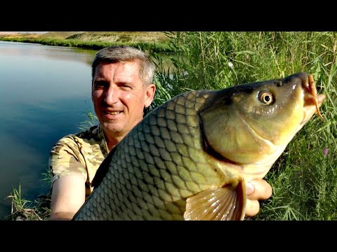 Видео: На ЭТО клюет вся рыба! Я чуть не УТОНУЛ! #рыбалка #карп #сазан #карпфишинг #карась