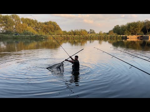 Видео: На що клює КОРОП по холодній воді?! Осінній КАРПФІШИНГ