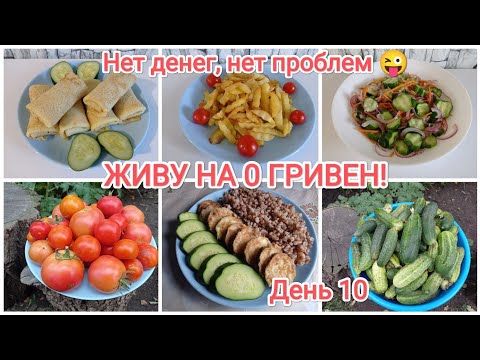 Видео: ЖИВУ НА 0 ГРИВЕН!!! День 10 