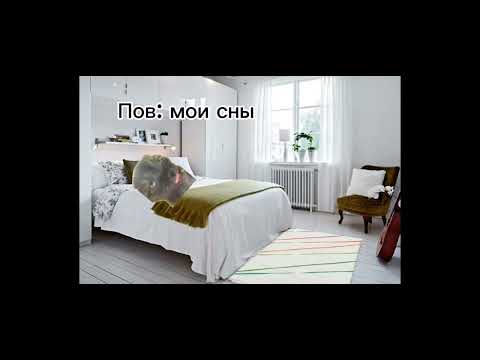 Видео: СБОРНИК ВИДЕО С МЕМНЫМИ КОТАМИ! 15 минут с мем котами