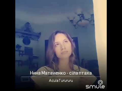 Видео: Сiла птаха