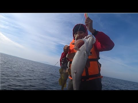 Видео: рыбалка в  октябре / Сахалин