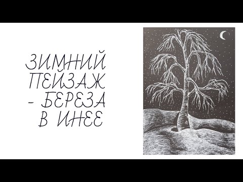 Видео: Зимний пейзаж "Береза в инее"