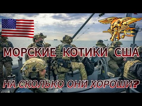Видео: МОРСКИЕ КОТИКИ США НА СКОЛЬКО ОНИ ХОРОШИ?