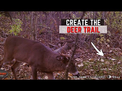 Видео: Создание оленьих троп