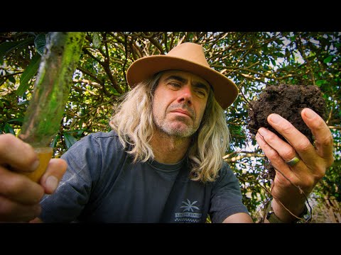 Видео: Когда вера заменяет любопытство