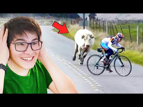 Видео: ТОП 100 ЕҢ КҮЛКІЛІ ПРИКОЛДАР!!! ҚАЗАҚША РЕАКЦИЯ!!!