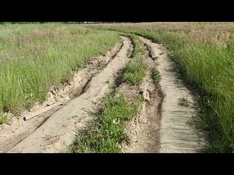 Видео: Гуляем по полям. Правдинское водохранилище.