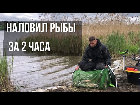 Видео: СЕКРЕТЫ ЛОВЛИ КАРАСЯ НА ФИДЕР!