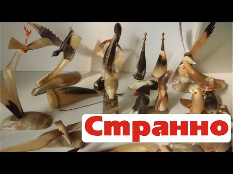 Видео: Из рогов и копыт такое выделывать на Мясокомбинате!