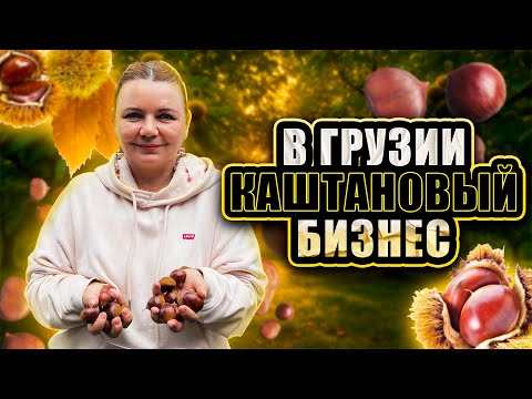 Видео: Коричневое золото Грузии