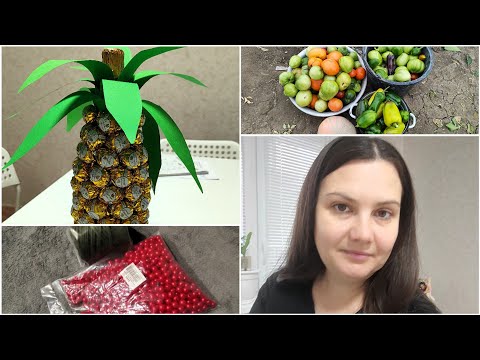 Видео: Огородный сезон ЗАКРЫТ!👩🌾 | АНАНАС🍍 | Спасибо за РЕЦЕПТ👩🍳