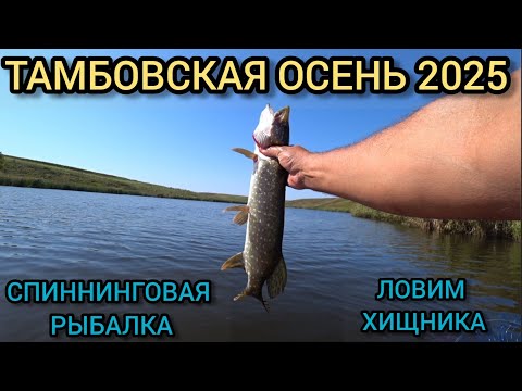 Видео:  Спиннинговая рыбалка осень 2025