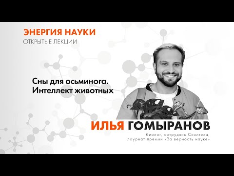 Видео: Лекция Ильи Гомыранова «Сны для осьминога. Интеллект животных»