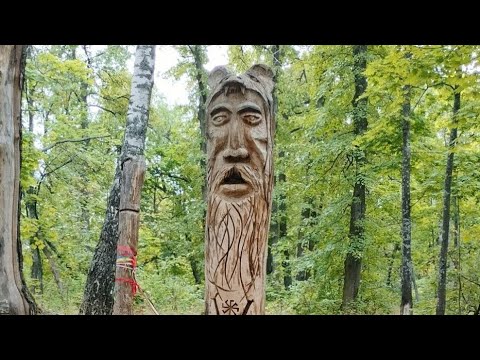 Видео: ПРОГУЛКА В МЕСТА СИЛЫ И ПОСЛАНИЕ ДЛЯ ВАС. ВЫ НА ВЕРНОМ ПУТИ. НОЧЬ ВЕЛЕСА  МОЩНАЯ ЭНЕРГЕТИКА. 