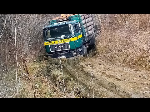 Видео: Лесовозы застряли в грязи! КАМАЗ, МАН, ДАФ, ФОЛЬКСВАГЕН, ИВЕКО, ТАТА, ТАТРА, ШАКТИМАН, ХУИЛИ