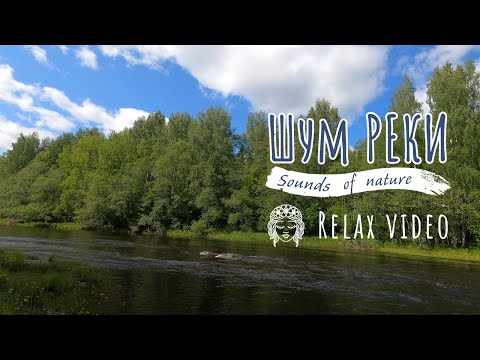 Видео: 1 час релакса и медитации 🌊 Шум реки и пение птиц в Карелии 🦜 Звуки природы #relaxing  #meditation