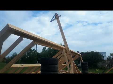 Видео: Жираф и стена.