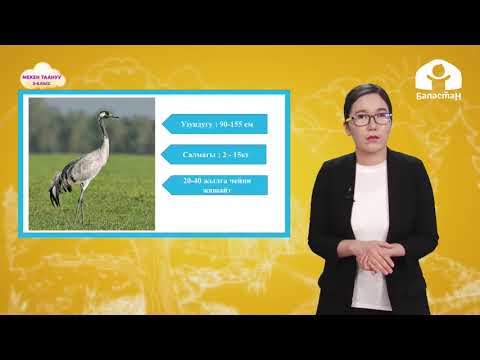 Видео: 3-класс. МЕКЕН ТААНУУ: Жаратылышты сактоо / ТЕЛЕСАБАК / 06.04.2021