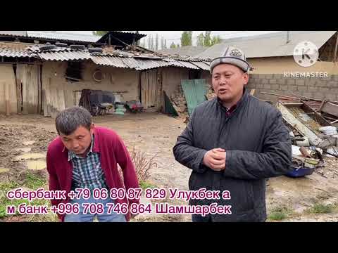 Видео: ⚡️Жардам берип койолу Чайханага барып эле Озубуз Жыргай бербей Туугандар ⚡️