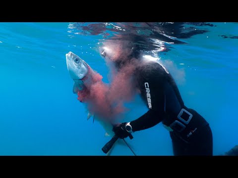 Видео: [No. 25] Тотальная битва с гигантской рыбой во время фридайвинга