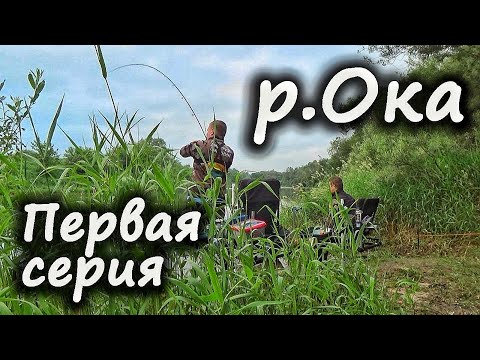 Видео: Рыбалка на Оке Орловской. Окская эпопея СЕРИЯ #1.
