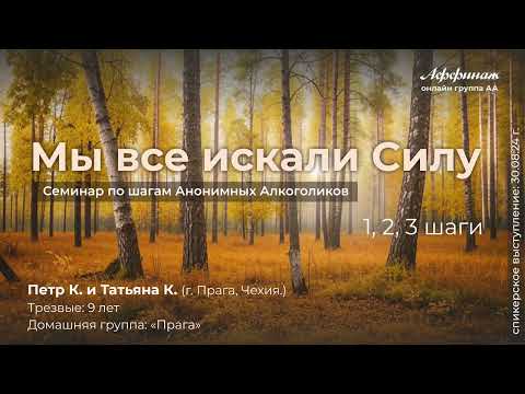 Видео: «Мы все искали силу», семинар по шагам АА, 1,2,3 шаги!