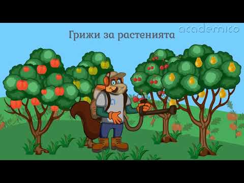 Видео: Растенията и хората - Околен свят 2 клас | academico